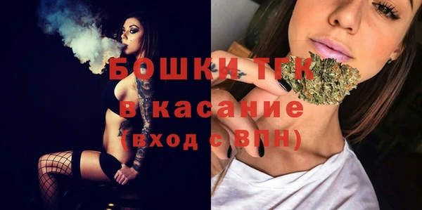 apvp Алзамай