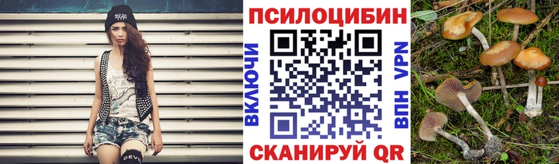 Галлюциногенные грибы мухоморы  Козловка 